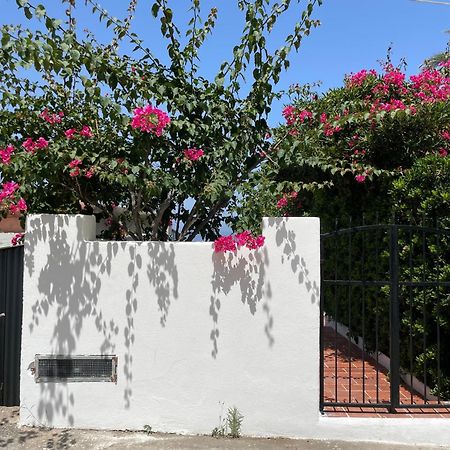 Casa Bouganville Pollara Exterior foto
