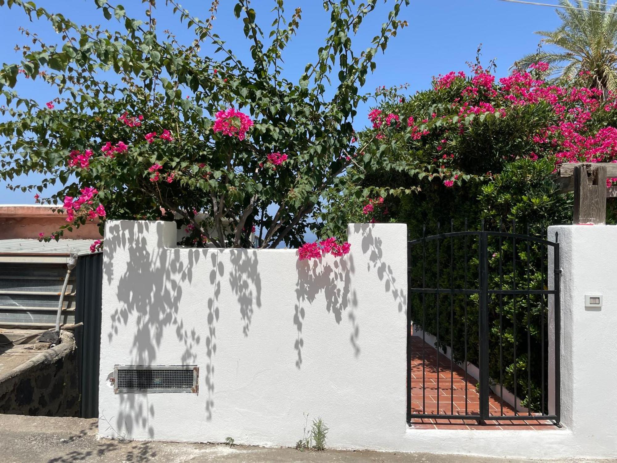 Casa Bouganville Pollara Exterior foto